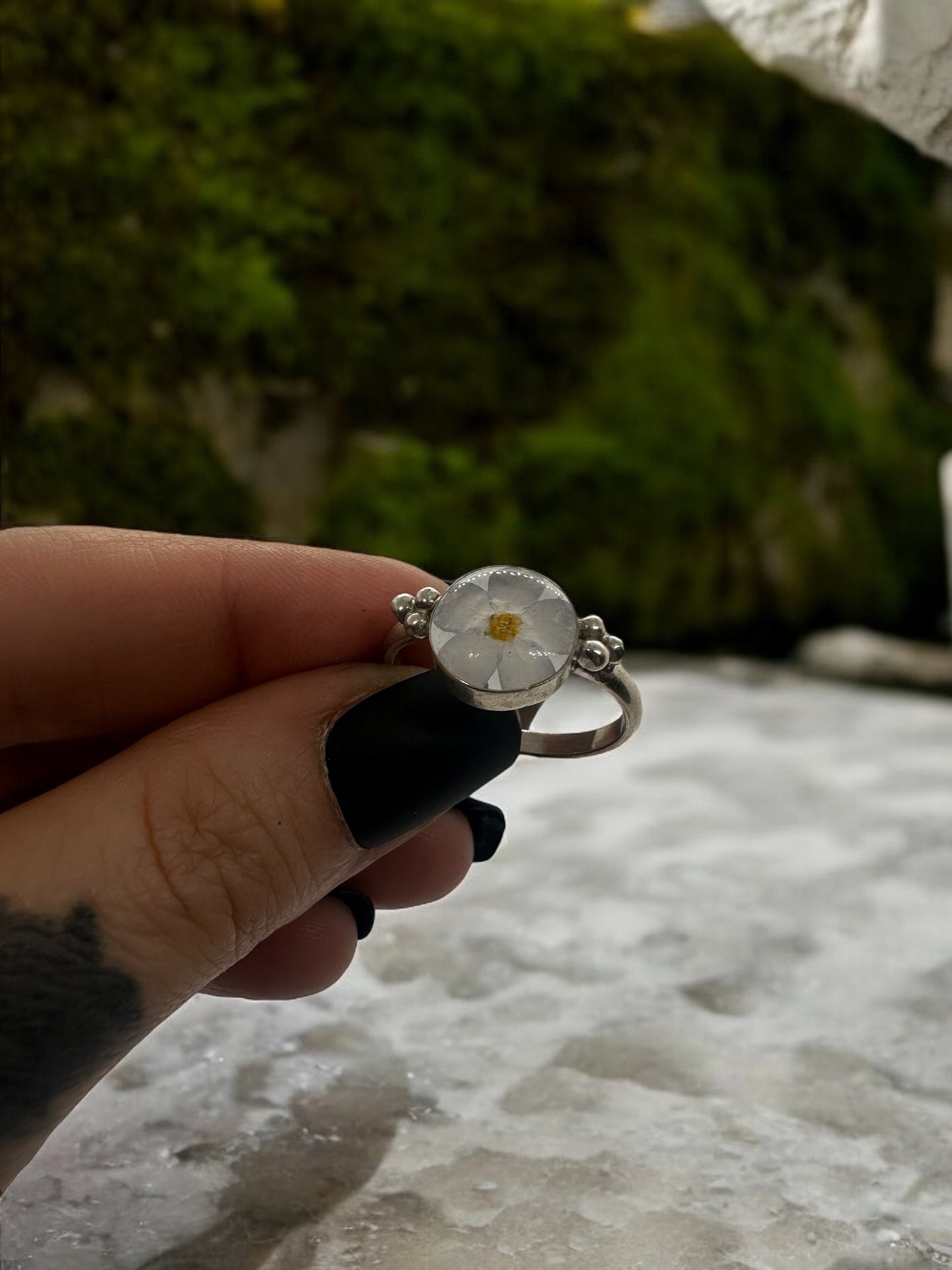 Myosotis Ring